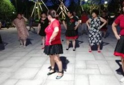 广场舞蹈视频大全,舞动人生，欢乐无限